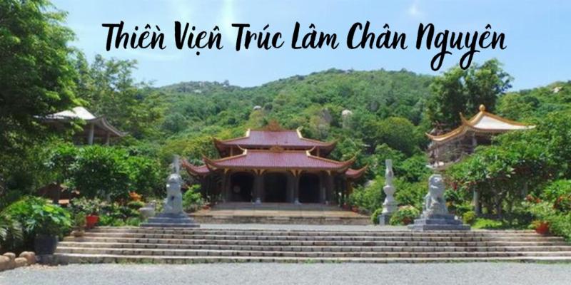 Đàn khỉ hoang dã thân thiện tại Chùa Khỉ (Thiền Viện Trúc Lâm Chân Nguyên) ở Vũng Tàu, sống hòa mình với thiên nhiên.